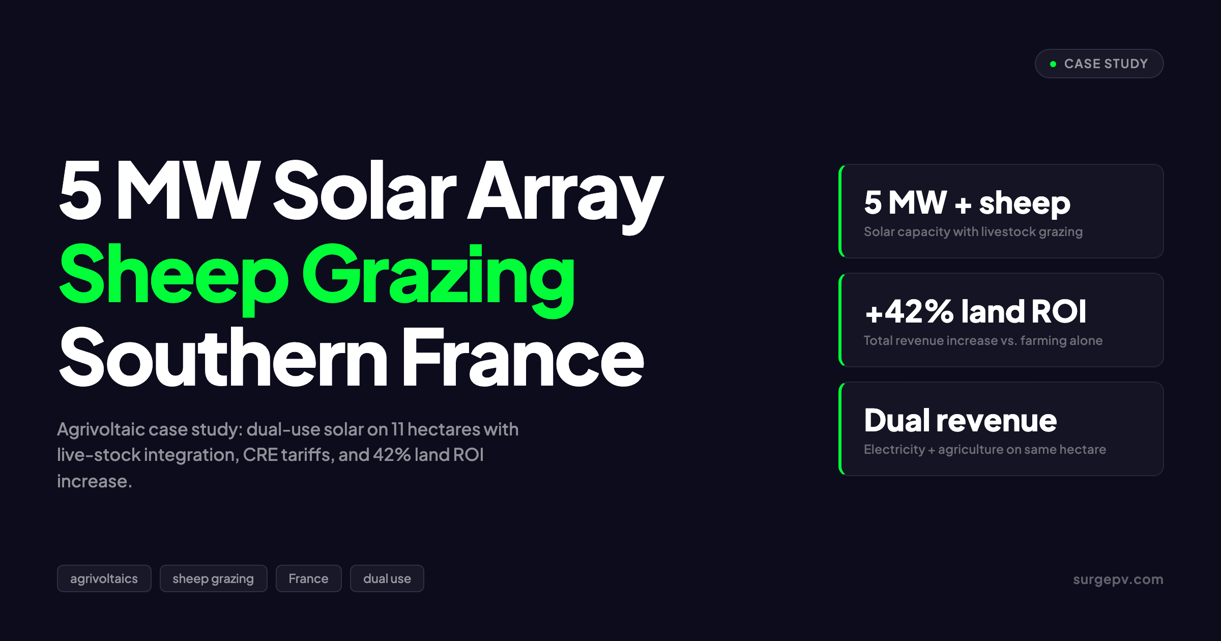 Agricultural Solar Case Study: Sheep Grazing Under 5 MW Array in France